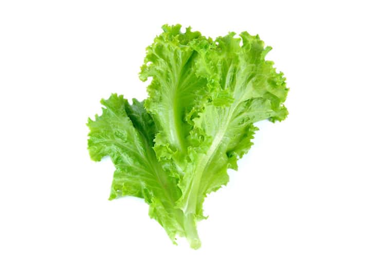Lettuce