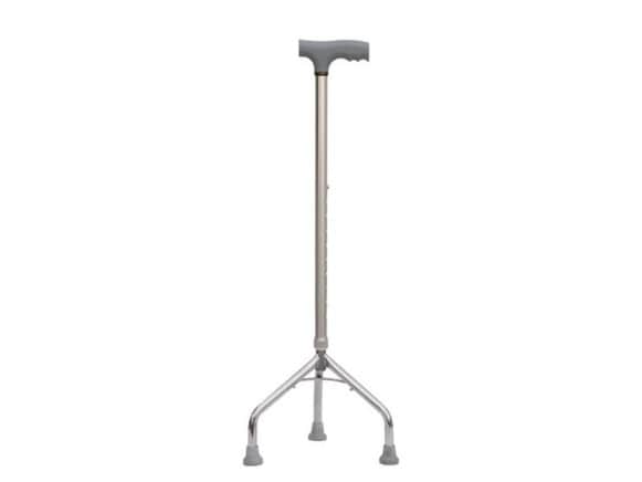 Walking Stick