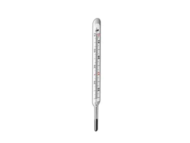 THERMOMETER FLAT LARGE