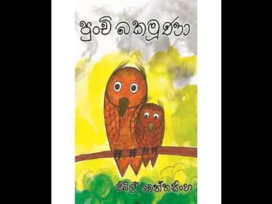 Punchi Bakamuna