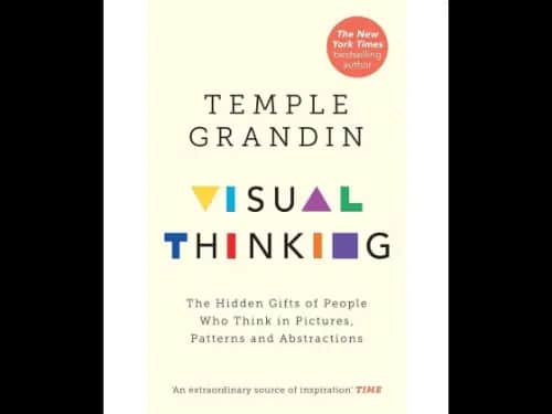 Visual Thinking (The Hidden Gifts Of People Who Think In Pictures, Patterns And Abstractions)
