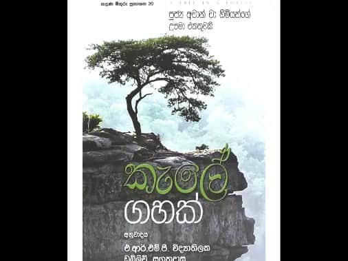 කැලේ ගහක්