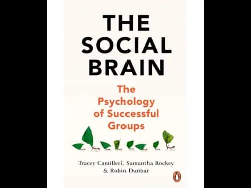 The Social Brain (The Psychology Of Successful Groups)