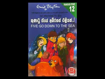 කුණාටු රැයේ අබිරහස් එළියක්..!
