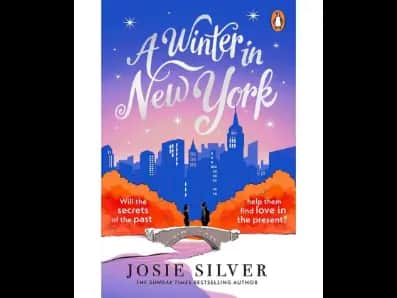 A Winter In New York