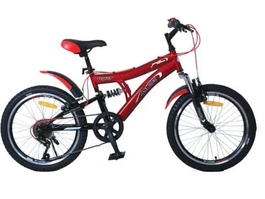 DSI bike 20'' MTB  DS with MTB Pattern DSI Tyres