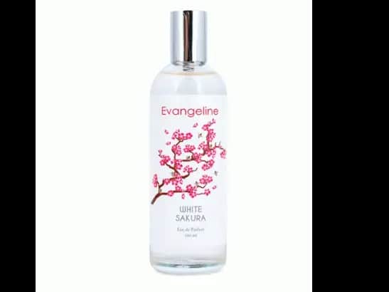 EVANGELINE WHITE SAKURA EDP 100ML