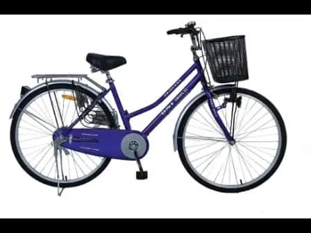 DSI Bike 26" Lady with City Pattern DSI tyres