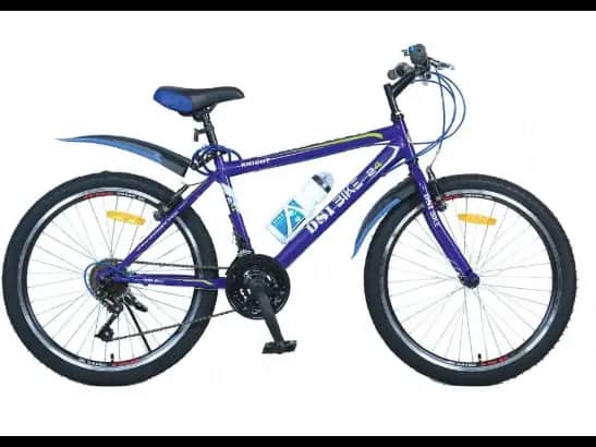 DSI bike 24" MTB MS with City Pattern DSI Tires