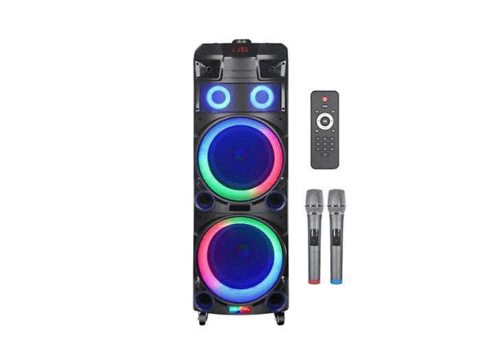NDR 7022 Party Box - Dual wireless microphones and remote control with 1 Month Warranty