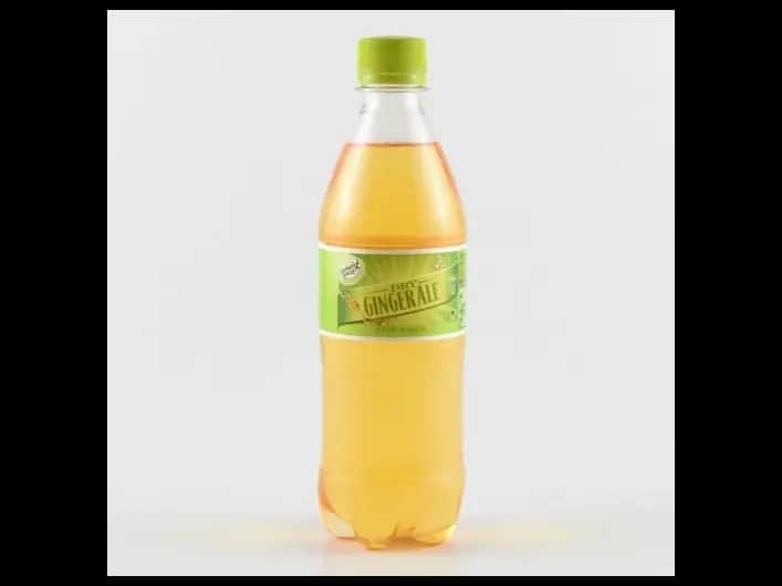 Elephant house dry ginger ale