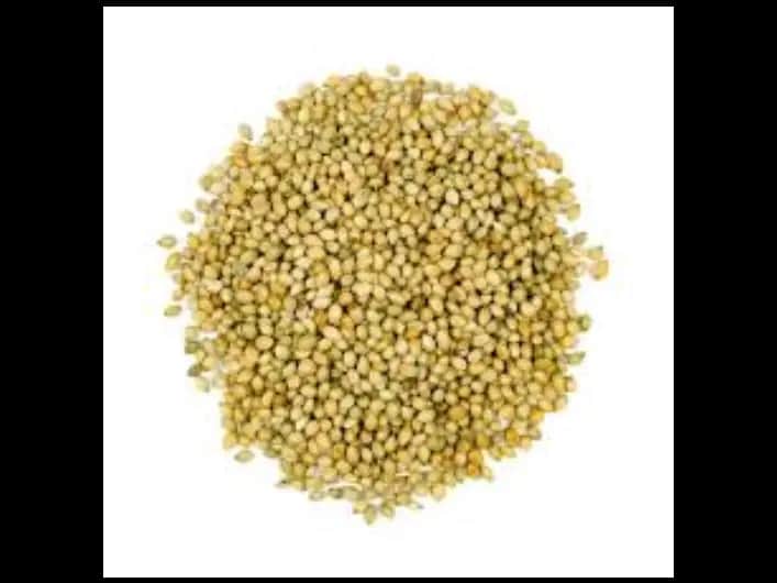 Coriander Seed - 500G