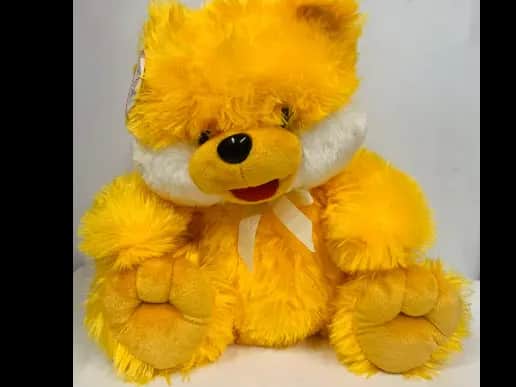 Teddy Bear Plush Toy