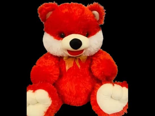 Soft Red Teddy Bear Plush Toy