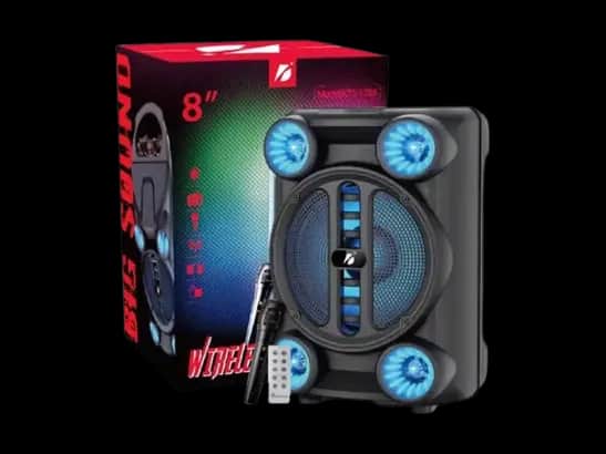 KTS-1765 8 Inch Bluetooth Speaker with Microphone
