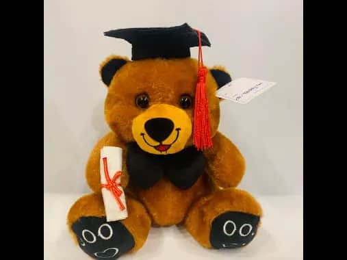 Brown Graduation Teddy Plush Toy