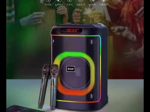Brodu BTS-2103 8 inch iKaraoke Box Light up with 2 wireless microphones
