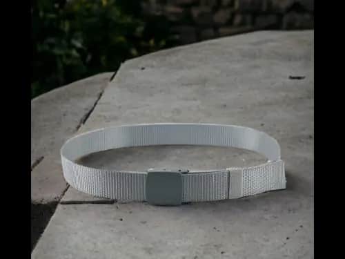 Men Webbed Wide Belt with Flap Buckle Closure