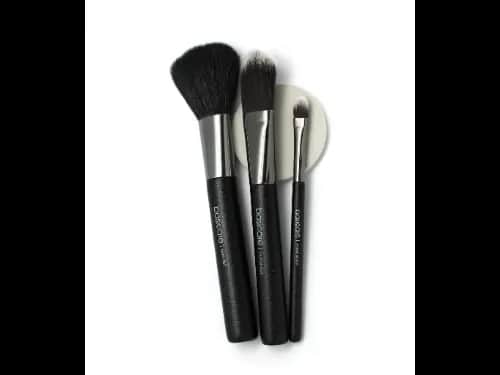 Makeup Brush Set