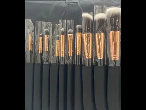MUST- 10 Pcs Makeup brush set