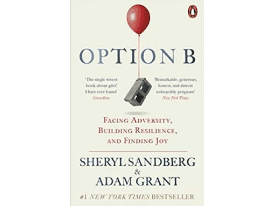 Option B