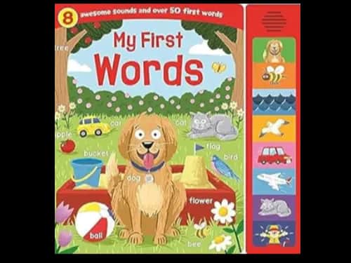MY FIRST WORDS