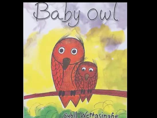BABY OWL