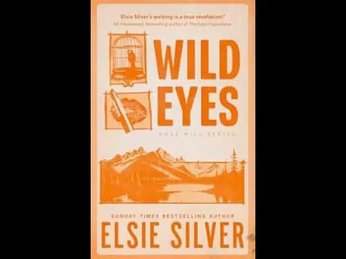 Wild Eyes  by  Elsie Silver