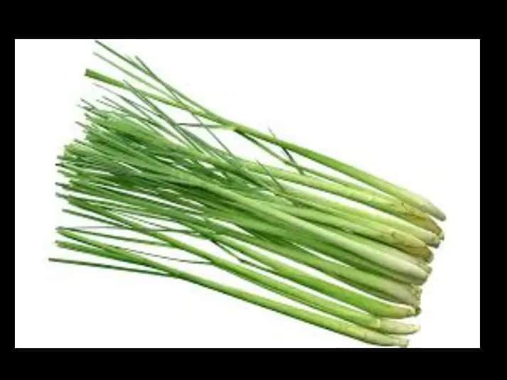 lemon grass ( sera )