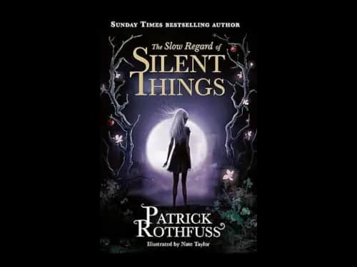 The Slow Regard Of Silent Things by Patrick Rothfuss