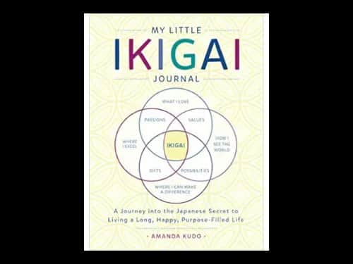 My Little Ikigai Journal by Amanda Kudo