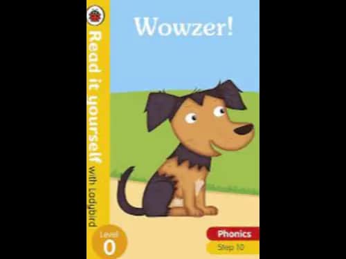 READ IT YOURSELF LEVEL 0 - PHONICS BK 10 WOWZER