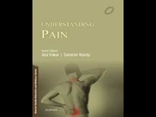 Understanding Pain by Atul Kakar,Samiran Nundy
