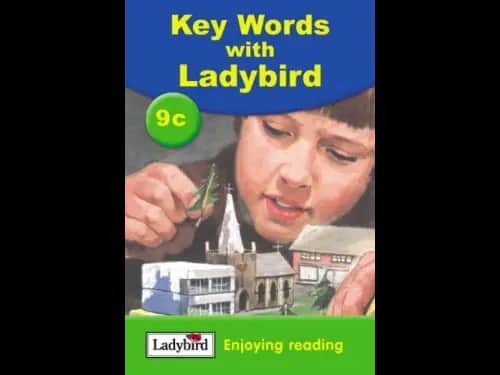 9c KEY WORDS WITH LADY BIRD - ENJOYING READING