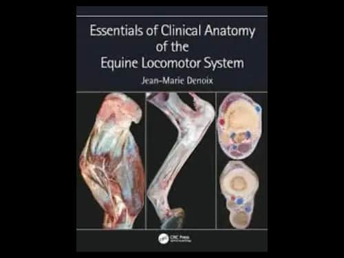 Essentials of Clinical Anatomy of the Equine Locomotor System by Jean Marie Denoix