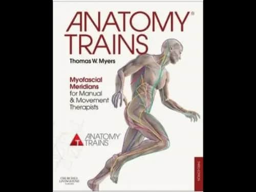 Anatomy Trains 3rd Edition : Myofascial Meridians for Manual and Movement Therapists by Thomas W. Myers