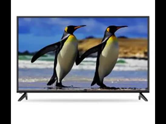 FUJI LED TV-43" (43N019A)