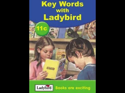 11c KEY WORDS WITH LADY BIRD - BOOKS ARE EXCITING