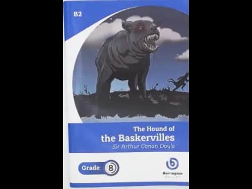 THE HOUND OF THE BASKERVILLE - GRADE 8