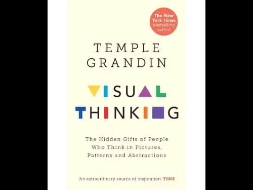 Visual Thinking (The Hidden Gifts Of People Who Think In Pictures, Patterns And Abstractions)