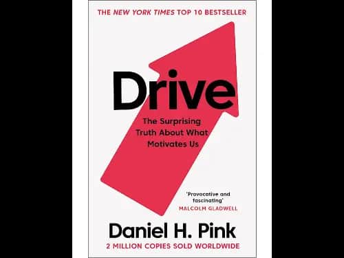 Drive: The Surprising Truth About What Motivates Us