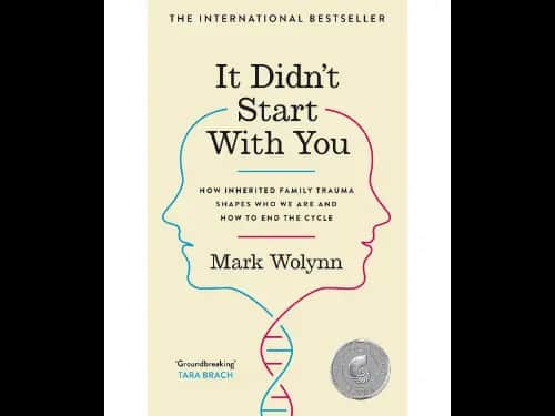 It Didn`T Start With You (How Inherited Family Trauma Shapes Who We Are And How To End The Cycle)