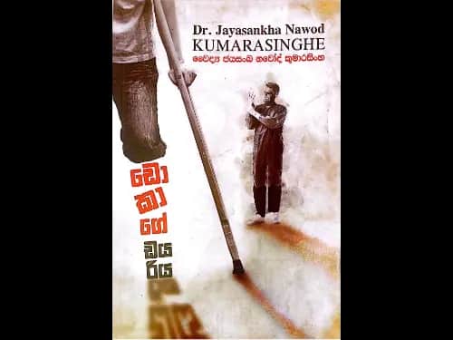 ඩොකාගේ ඩයරිය