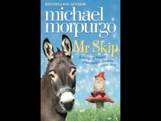 MR SKIP