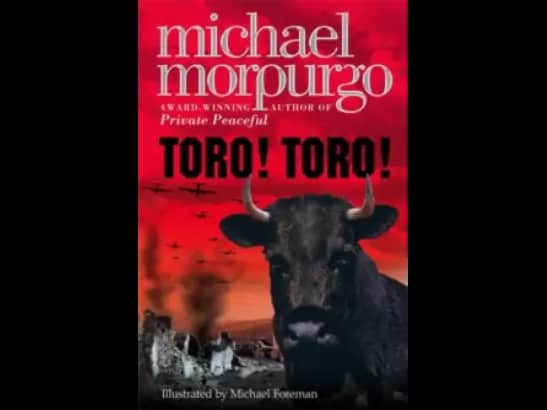 TORO TORO