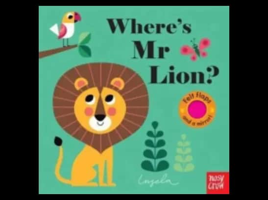 Where's Mr Lion?