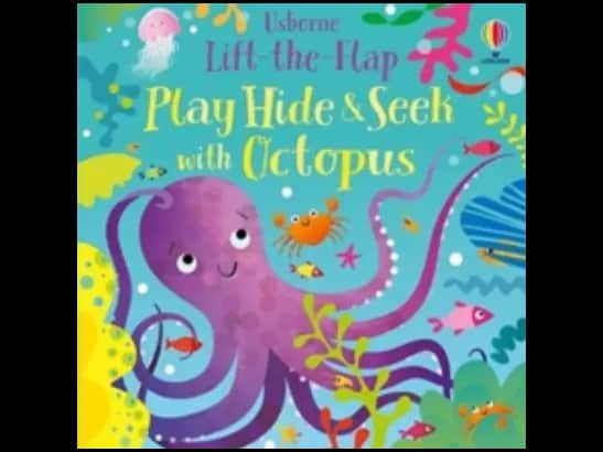 PLAY HIDE AND SEEK WITH OCTOPUS