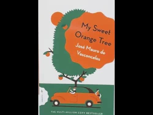 MY SWEET ORANGE TREE