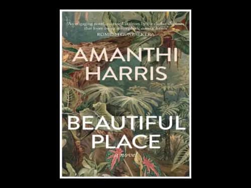 Beautiful Place by Amanthi Harris