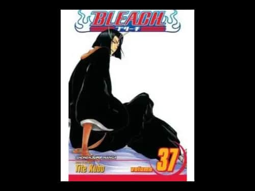 Bleach Volume 37 by Tite Kubo
